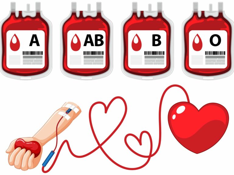 blood donation process